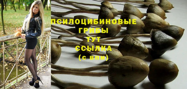 спайс Алексин